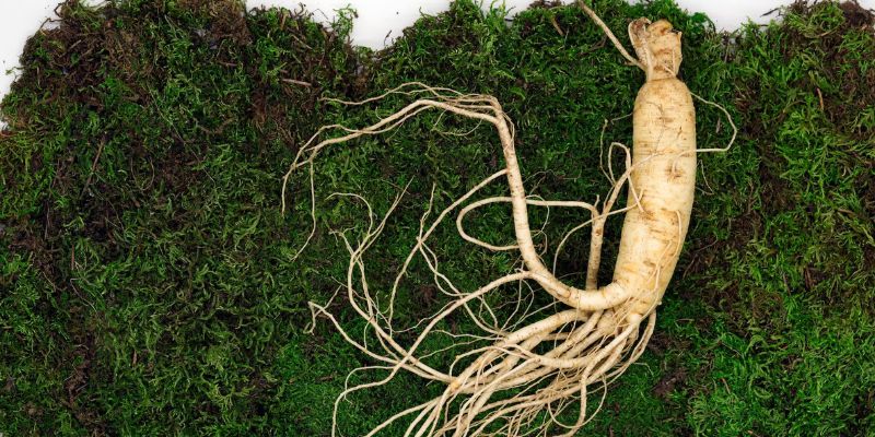 Manfaat Ginseng Extract untuk Rambut/Unsplash.com