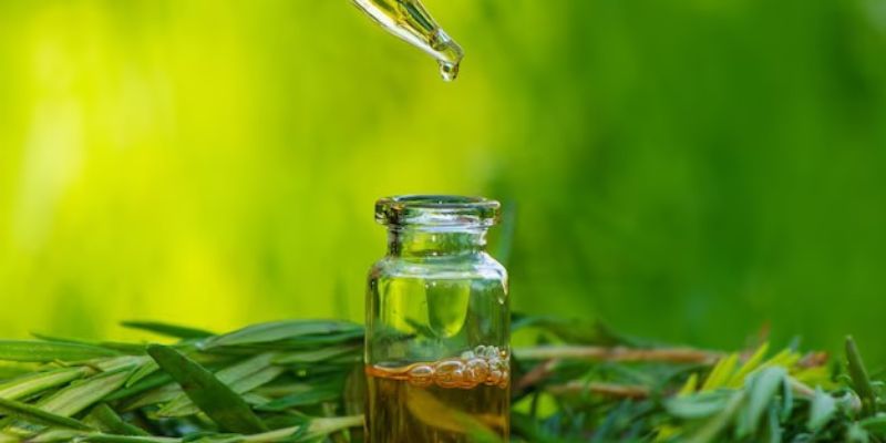Melaleuca Alternafolia Leaf Oil/Freepik.com