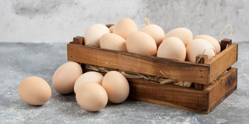 Makanan yang Membantu Meningkatkan Massa Otot/Freepik.com
