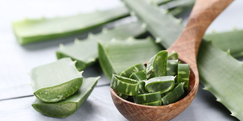 5 Manfaat Kandungan Aloe Vera Extract untuk Kesehatan Rambut