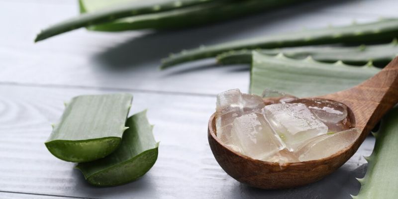 Manfaat Aloe Vera untuk Kesehatan Rambut/Freepik.com