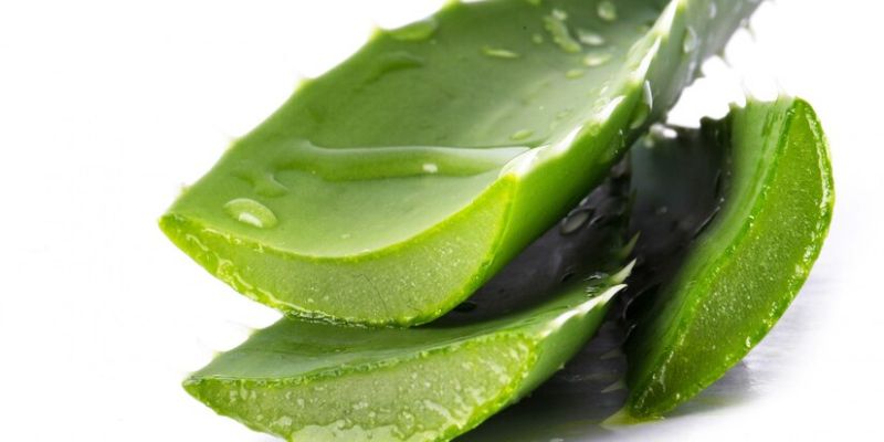 Manfaat Aloe Vera untuk Kesehatan Rambut/Freepik.com