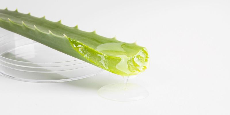 Manfaat Aloe Vera untuk Kesehatan Rambut/Freepik.com