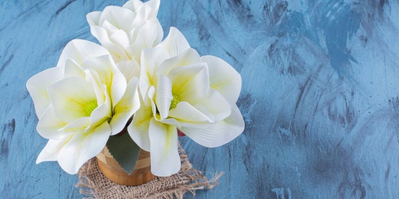 Aroma Parfum untuk Meningkatkan Daya Tarik/Freepik.com