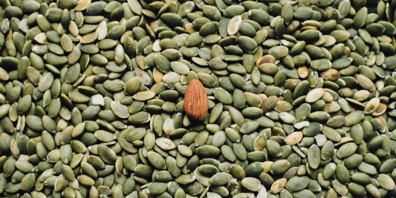 Makanan Sehari-Hari yang Tinggi Protein/Unsplash.com