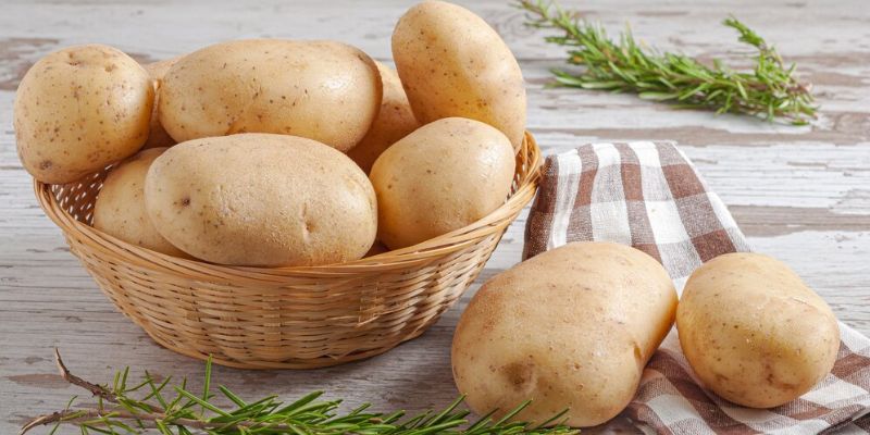 Makanan Nabati dengan Kandungan Niacinamide