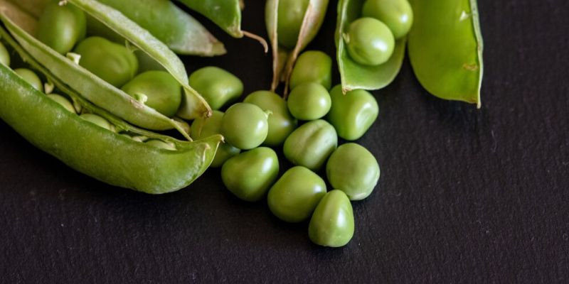 Makanan Nabati dengan Kandungan Niacinamide